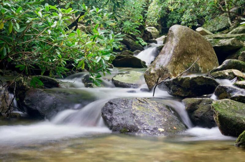 Sunshine Coast: Hinterland Adventure Private 4WD Jeep Tour - What to Expect During Your Day