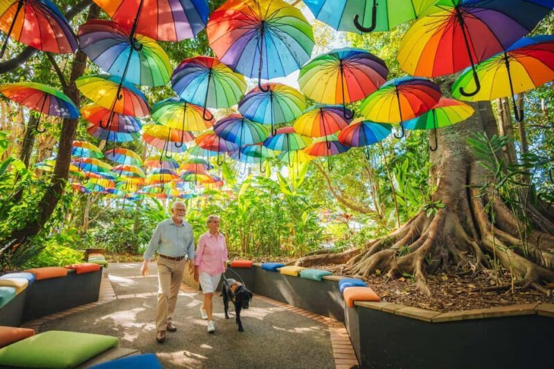 Sunshine Coast Hinterland Private Tour from Brisbane - An In-Depth Look at the Sunshine Coast Hinterland Private Tour