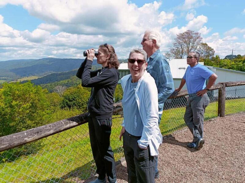 Sunshine Coast Hinterland Private Tour from Brisbane - Introduction