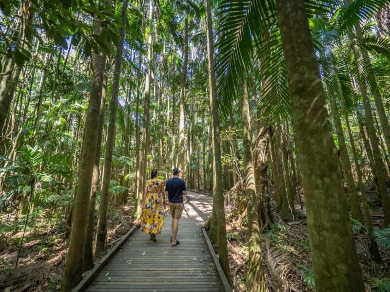 Sunshine Coast Hinterland Private Tour from Brisbane - Final Thoughts: Who Is This Tour Perfect For?