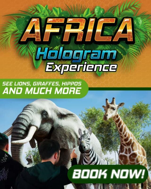 Sunshine Coast: Hologram Zoo Africa Adventure - What to Expect from the Hologram Zoo Africa Adventure