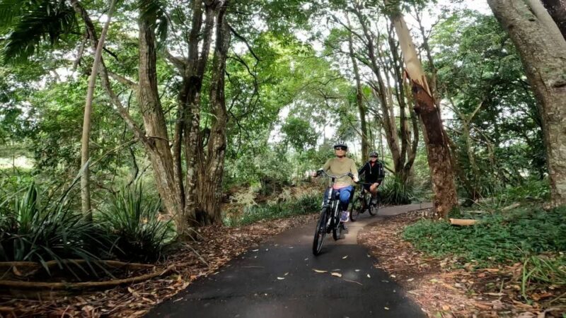 Sunshine Coast: Maleny Magic Guided e-Bike Tour - An Overview of the Experience