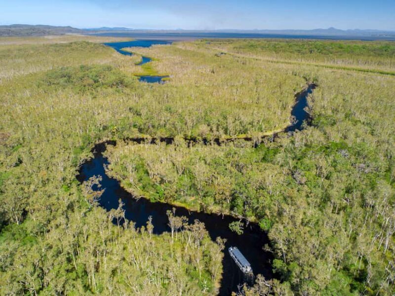 Sunshine Coast: Noosa Everglades, Hinterland & Boat Cruise - Authentic Insights from Reviews