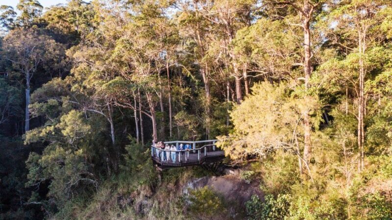 Sunshine Coast & Noosa Hinterland Scenic Culinary Experience - An In-Depth Look at the Sunshine Coast & Noosa Hinterland Tour