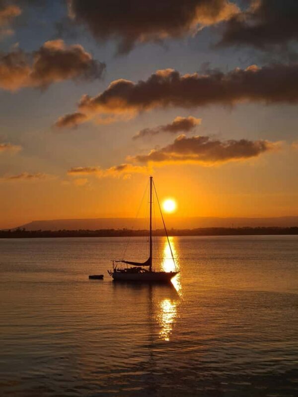 Sunshine Coast: Private Customizable Day Tour - Key Points