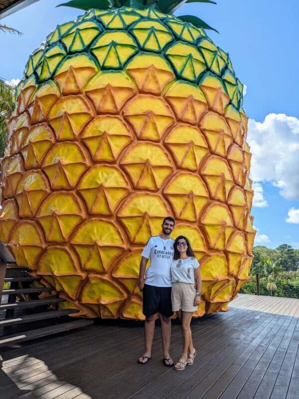 Sunshine Coast: Private Customizable Day Tour - Final Thoughts