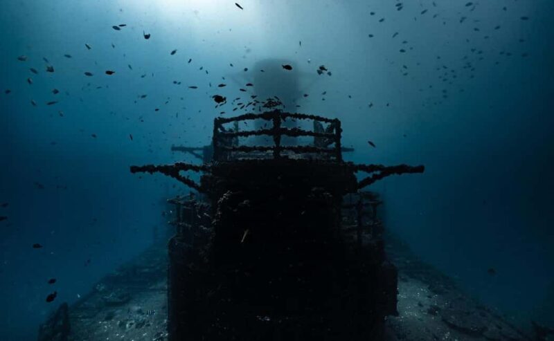 Sunshine Coast: Scuba Dive the Ex-HMAS Brisbane Ship Wreck - Who Is This Tour Best For?