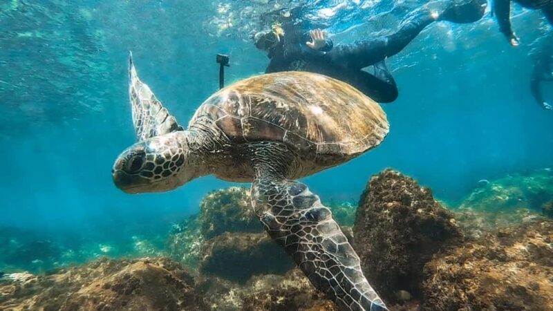 Sunshine Coast: Scuba Dive the Ex-HMAS Brisbane Ship Wreck - FAQ