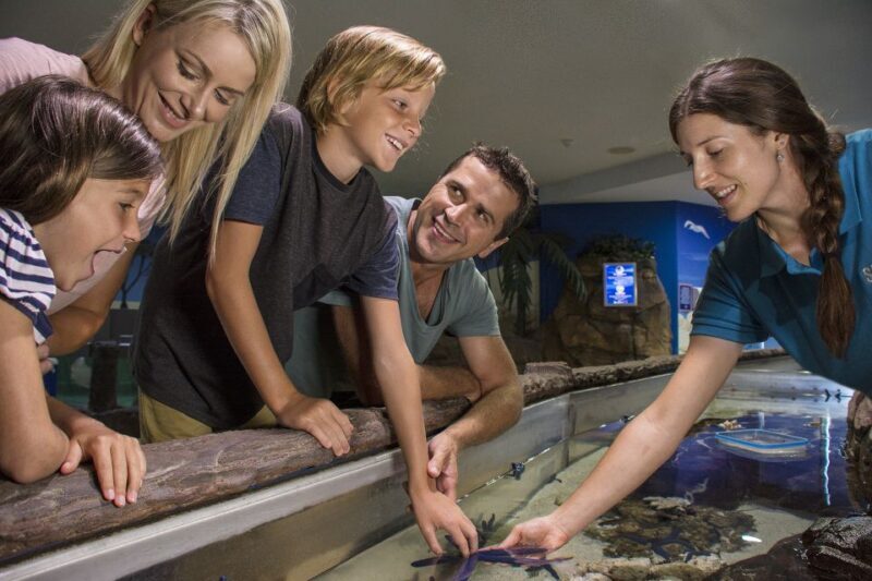 Sunshine Coast: SEA LIFE Sunshine Coast Entry Ticket - Key Points  
