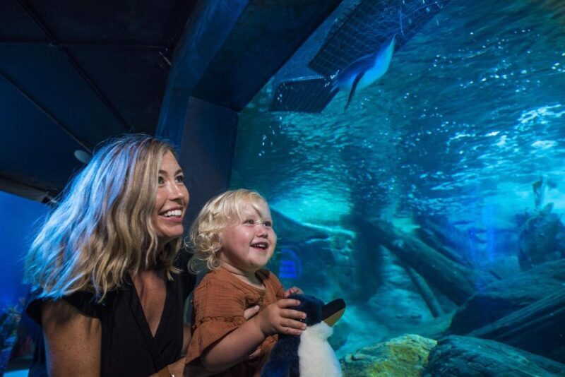 Sunshine Coast: SEA LIFE Sunshine Coast Entry Ticket - Who will love SEA LIFE Sunshine Coast?