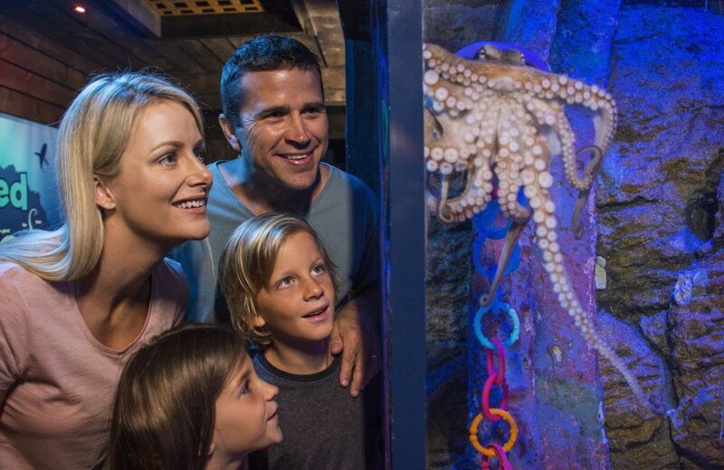 Sunshine Coast: SEA LIFE Sunshine Coast Entry Ticket - Final thoughts