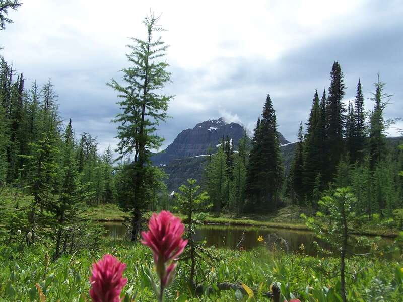 sunshine-meadows-daily-guided-hike-with-gondola
