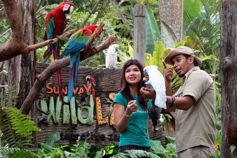 sunway-lagoon-ticket-with-transfer-from-kuala-lumpur