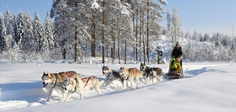 suonenjoki-5km-husky-safari-with-campfire-coffee