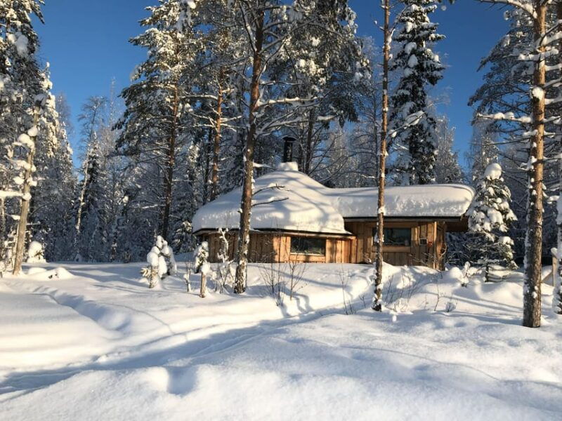 suonenjoki-5km-husky-safari-with-campfire-coffee