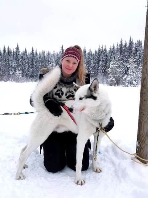 suonenjoki-5km-husky-safari-with-campfire-coffee