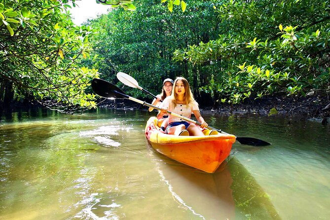 sup-canoe-landing-on-coral-island-sightseeing-in-yubujima
