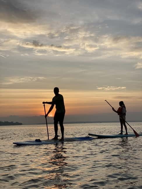 SUP in Kochi: Sunrise Stand-Up Paddleboarding Tour - What Is Included
