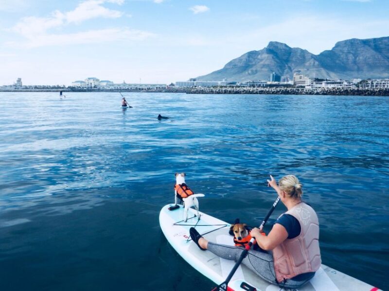 SUP Ocean Tour - FAQ