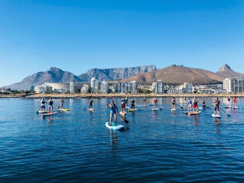 SUP Ocean Tour - Final Thoughts