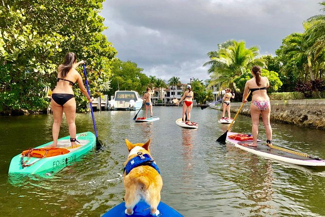 sup-pup-paddleboard-tour