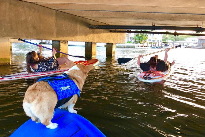sup-pup-paddleboard-tour