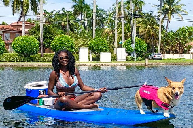sup-pup-paddleboard-tour