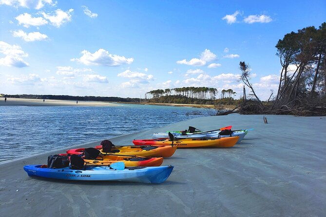 sup-stand-up-paddboard-salt-marsh-maze-tour
