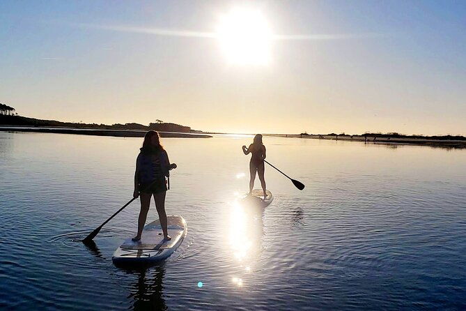 sup-stand-up-paddboard-salt-marsh-maze-tour