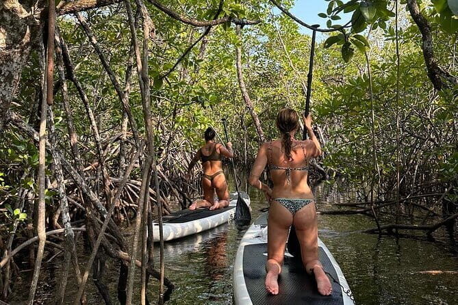 SUP Tour in Mangrove Forest of Koh Rong Sanloem - The Experience: A Detailed Breakdown