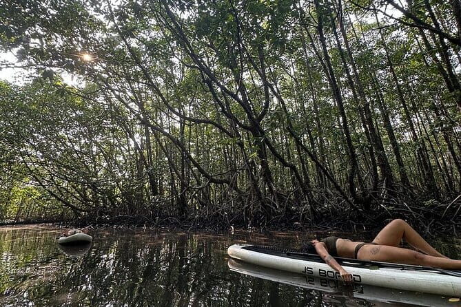 SUP Tour in Mangrove Forest of Koh Rong Sanloem - Who Should Consider This Tour?