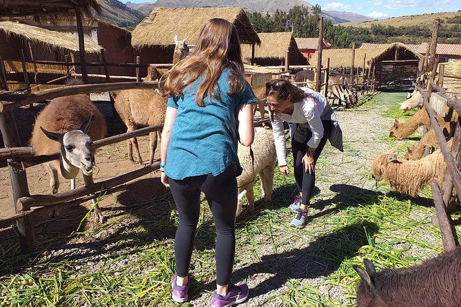 super-city-tour-cusco-full-day-with-lunch