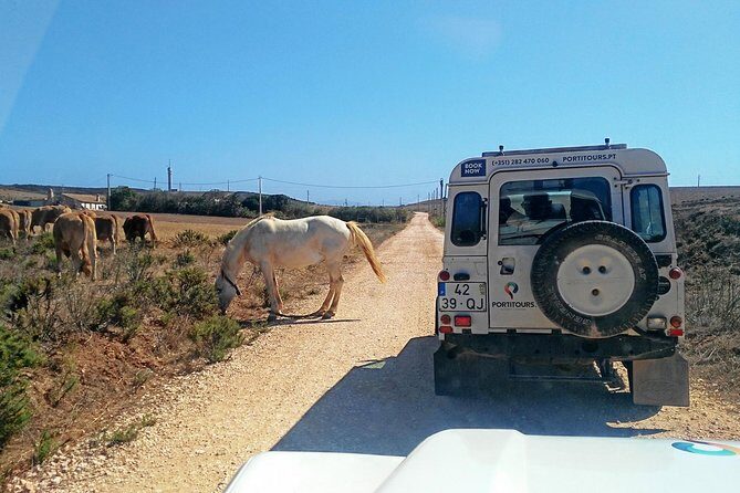 Super Day- Jeep Tour + Arade River Cruise - Key Points  