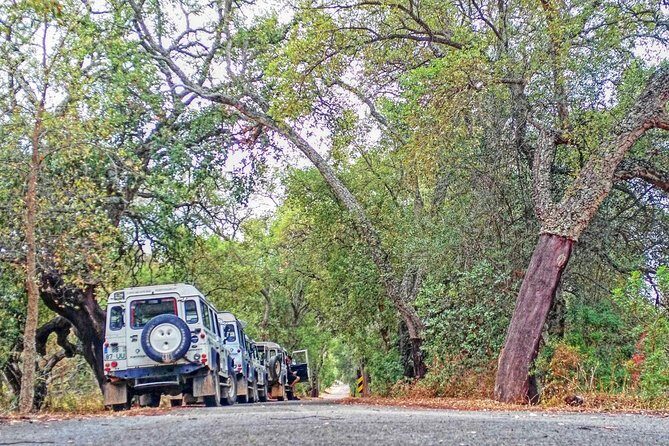 Super Day- Jeep Tour + Arade River Cruise - Introduction: Discover Algarve’s Hidden Charms in Comfort and Style  
