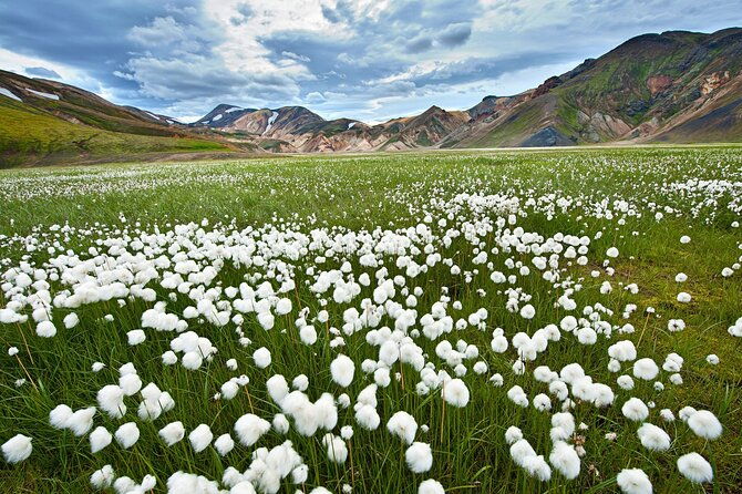 super-jeep-tour-to-landmannalaugar