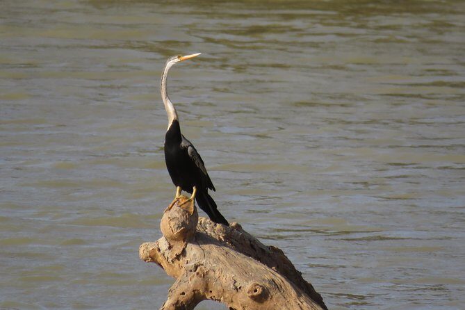 Super Luxury Jeep Safari at Yala National Park - Who Will Love This Safari?