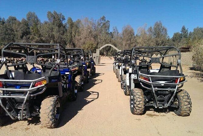 Super Moto Safari from Sharm E Sheikh with Excursions.VIP - Who Would Love This Tour?