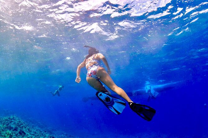 super-raft-private-charter-maui-3-hour-snorkel-to-coral-gardens-or-molokini-2