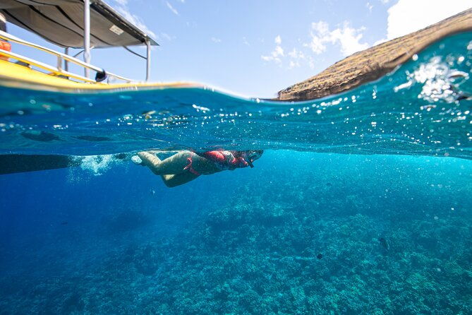 super-raft-private-charter-maui-3-hour-snorkel-to-coral-gardens-or-molokini-2