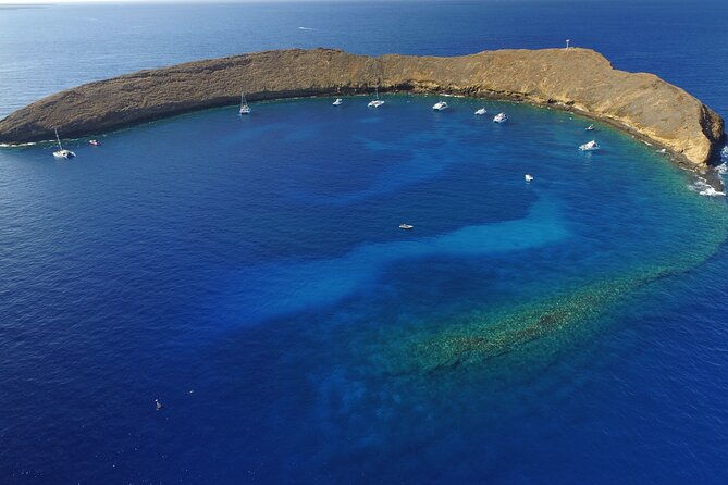super-raft-private-charter-maui-3-hour-snorkel-to-coral-gardens-or-molokini-2