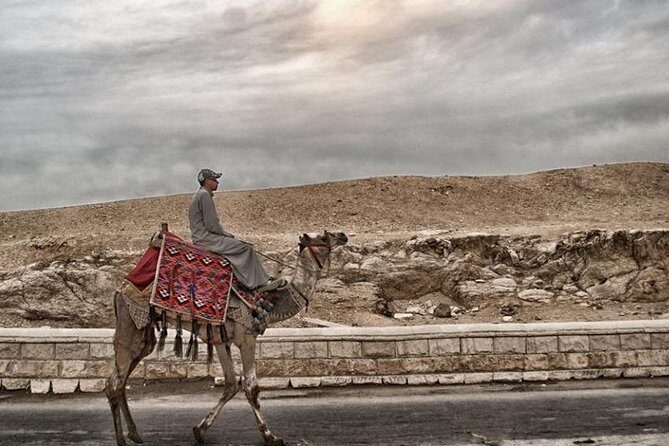 Super Safari ATV, Drive Buggy Car, Camel Ride, Bedouin Dinner, Show-Hurghada - Who Is This Tour Best For?