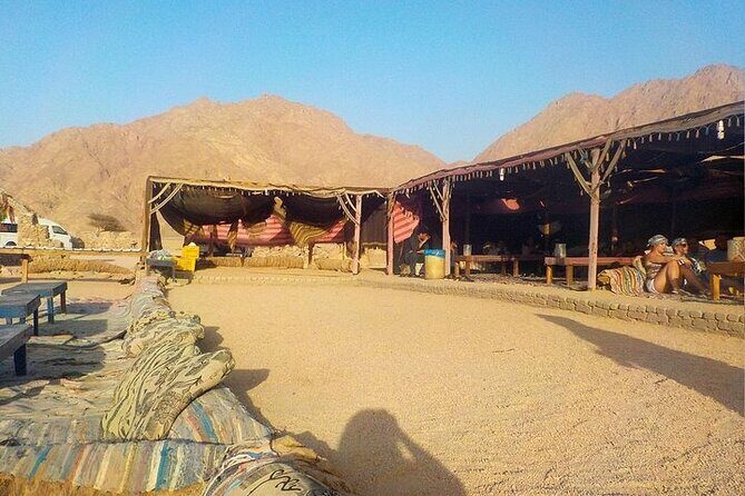 Super Safari ATV Quad, Camel, BBQ Dinner &Show in Sharm El Sheikh - What We Think: Who Is This Tour Best For?