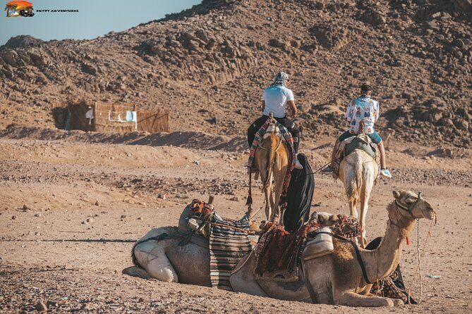 Super Safari ATV Quad, Jeep & Camel Ride with Dinner - Hurghada - The Sum Up