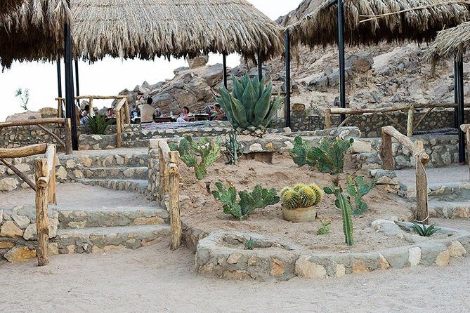 Super Safari, ATV & Sunset, Camel Ride With Dinner - Marsa Alam - Who Is This Tour Best For?