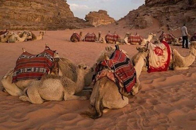 Super Safari Hurghada - Relaxation & Refreshments: Shisha and a Traditional Dinner