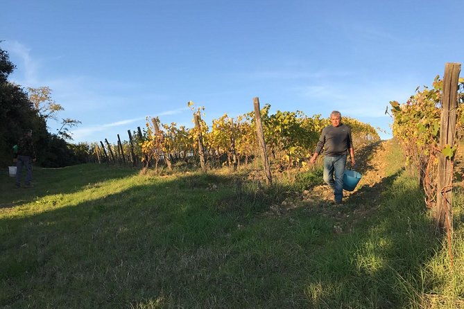 super-tuscan-igt-wines-evo-oil-balsamic-vinegar-tasting