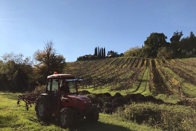super-tuscan-igt-wines-evo-oil-balsamic-vinegar-tasting
