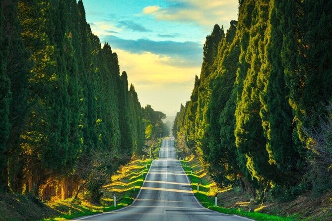 super-tuscan-wine-tour-to-bolgheri