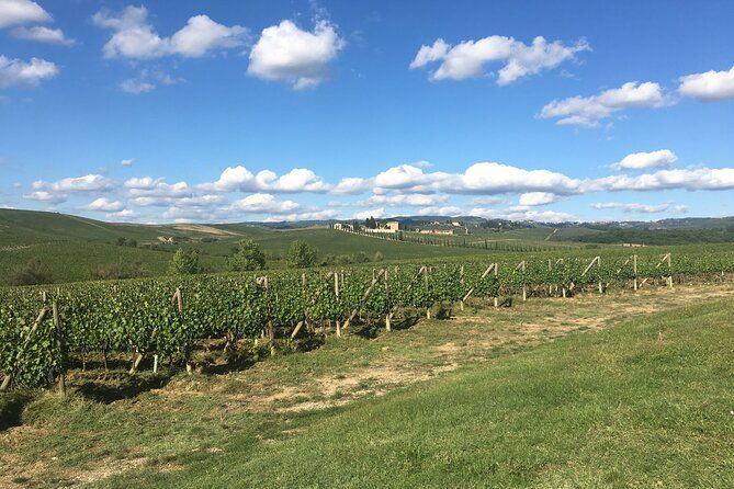 super-tuscan-wine-tour-to-bolgheri