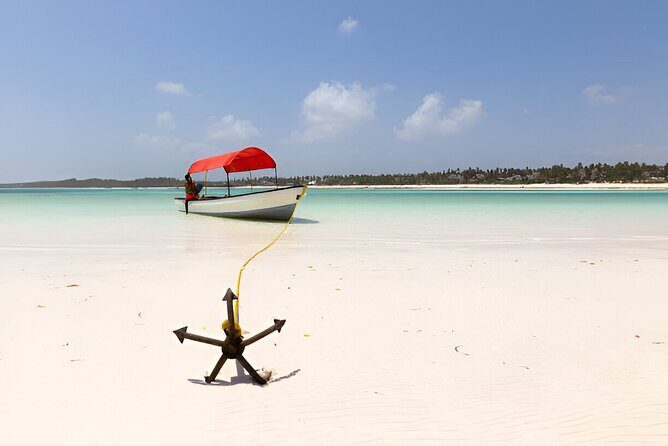 Super Zanzi Nakupenda, Prison Island & Stone Town &Lunch-Zanzibar - The Experience From Real Travelers